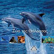 1001 photos zoa tis thalassas photo 1001 photos zoa tis thalassas photo