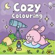COZY COLOURING 4