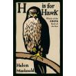 h is for hawk photo h is for hawk photo