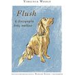 flush i biografia enos skyloy photo flush i biografia enos skyloy photo
