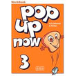 POP UP NOW 3 WORKBOOK