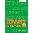 connect b1 grammar photo