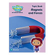 SCIENCE BUG MAGNETS AND FORCES