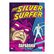 the silver surfer paraboli photo the silver surfer paraboli photo