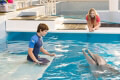 dolphin tale 2 blu ray extra photo 2