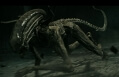 alien covenant dvd extra photo 3