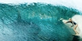 se rixa nera the shallows 4k uhd blu ray extra photo 2