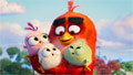 angry birds i tainia 2 dvd blu ray combo extra photo 1