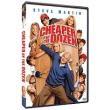    (DVD)