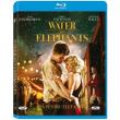 nero gia elefantes blu ray photo