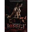 REC 4 ��������� (DVD)