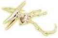 pteranodontas fosforize seira mathaino dimioyrgo extra photo 1