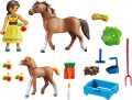 playmobil 70122 h proy me alogo kai poylari extra photo 1