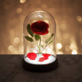 paladonedisney beauty and the beast enchanted rose light pp4344dpv2 extra photo 2