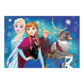 ravensburger frozen 2x24pcs 09074 extra photo 1