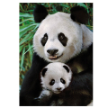 pazl 1000pz oikogeneia panda extra photo 1