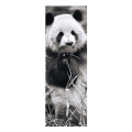 pazl 1000pz panoramic panda extra photo 1