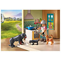 playmobil 71351 megalo rantso extra photo 7