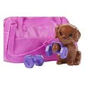 barbie wellness imera omorfias 2 sxedia lampada extra photo 4