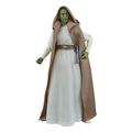 hasbro fans star wars the acolyte jedi master vernestra extra photo 2 hasbro fans star wars the acolyte jedi master vernestra extra photo 2