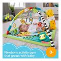 fisher price 3 in 1 rainforest sensory gym extra photo 3 fisher price 3 in 1 rainforest sensory gym extra photo 3