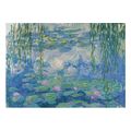 pazl 1000pz art collection waterlilies extra photo 1
