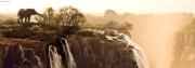 pazl 1000pz humboldt panorama afrikaniki sabana photo