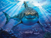 pazl 1000pz great white shark photo