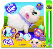 little live pets franki to arnaki il pet photo