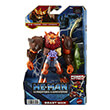 he man animation deluxe figoyra beast man photo