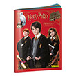 harry potter album panini photo