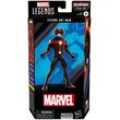 HASBRO MARVEL LEGENDS SERIES BUILD A FIGURE CASSIE LANG FUTURE ANT-MAN FIG (15CM) (EXCL.)