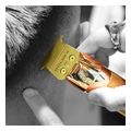 koyreytki mixani babyliss fx7870ge trimmer gold extra photo 6