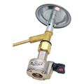 coral gas kaystiras go gas smart grill extra photo 1