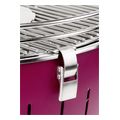foriti psistaria karboynoy lotusgrill g280 u 26cm plum purple lila extra photo 2