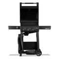 napoleon psistaria ygraerioy freestyle 365 dpk black extra photo 3