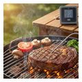 nedis btkat10gy smartlife meat thermometer with 2 probes 120m grey extra photo 5