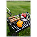 psistaria karboynoy bbq blaupunkt grill gc101 extra photo 2
