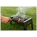 psistaria karboynoy bbq blaupunkt grill gc101 extra photo 4
