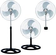 anemistiras orthostatis 3se1 crown cmf 1831 photo anemistiras orthostatis 3se1 crown cmf 1831 photo