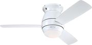 anemistiras orofis westinghouse halley white 44 112cm photo
