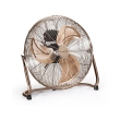 anemistiras dapedoy 100w trotec tvm17 45cm bronze photo
