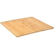 ESTIA      BAMBOO 38X38CM 01-20194