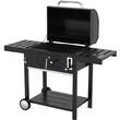 bormann elite bbq1915 psistaria karboynoy kapnistiri photo