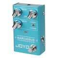 joyo r 22 narcissus chorus petali extra photo 1