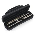 gator gl flute a thiki balitsa flaoytoy extra photo 4