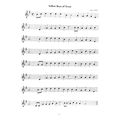 you can teach yourself tin whistle book online audio extra photo 1
