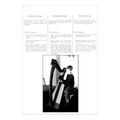 bouchaud dominig harpe d or golden harp extra photo 1
