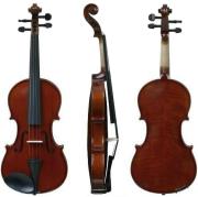 gewapure bioli hw 1 16 photo gewapure bioli hw 1 16 photo