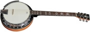 banjo vgs premium 6 strings photo